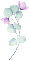 Fototapeta na wymiar Watercolor purple flower arrangement