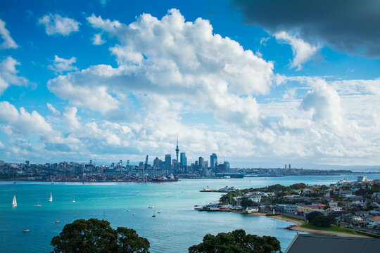 Sailing boats crossing Auckland Harbour in front of Aukland City. View from historical suburb of Devonport. North Island, New Zealand