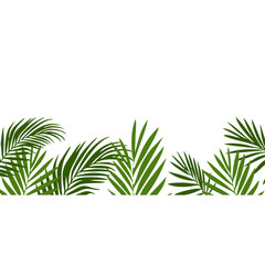 Summer Palm Tree Footer