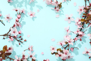 Spring twigs with flowers on a blue background.