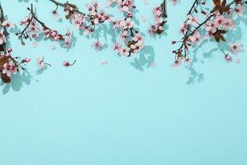 Spring twigs with flowers on a blue background.