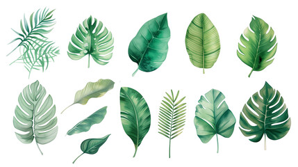 Watercolor leaves collection. Set of hand drawn natural elements isolated