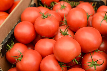many fresh red tomatoes at the market or store