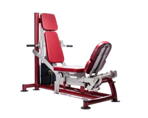 Exercise Chair isolated on white background.  Red Physical exercise chair on  png transparent background