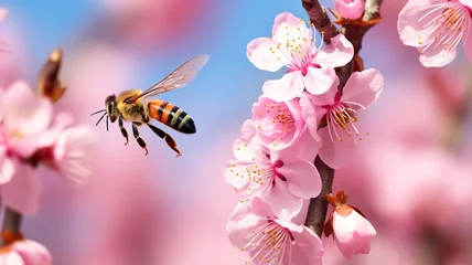 Gordijnen bee on spring beautiful landscape background © Yuwarin