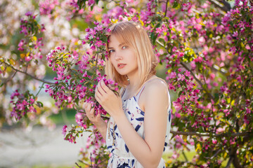 Portrait of an attractive young woman dressed in a dress posing against a background of blooming pink apple flowers.
