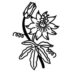 Passion flower glyph and line vector illustration