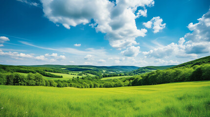 Fototapeta na wymiar Scenic view of green landscape
