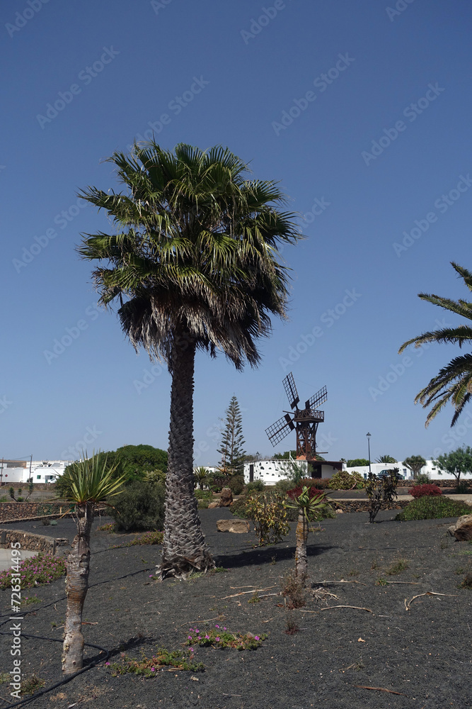 Sticker windrad in teguise, lanzarote