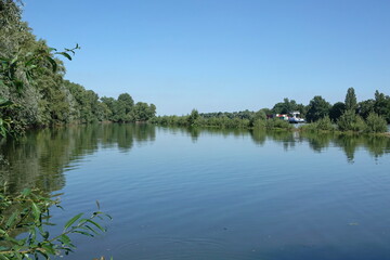 Obraz premium Rhein am Rheingaus