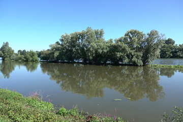 Rhein am Rheingaus