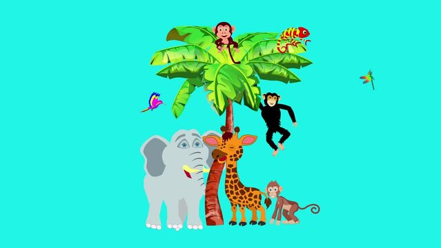  funny cartoon jungle animals elephant giraffe monkeys birds animation