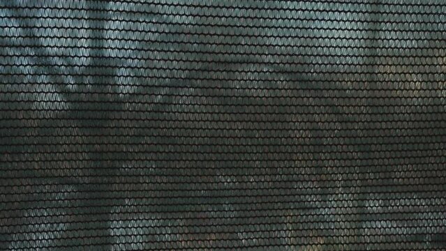 Looping stop motion animation of a textured mesh background with defocused views of trees and city buildings. Layout element for motion design. Loop frame-by-frame background animation.