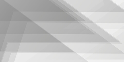 Fototapeta premium Abstract geometric background . Abstract background with lines . Gray and white texture background . white and gray paper triangle abstract background. white paper texture and business ,card,flyer .