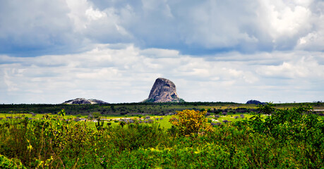 Savanna landscape in Bahia, Sertao, Brazil, South America. © Iryna Shpulak