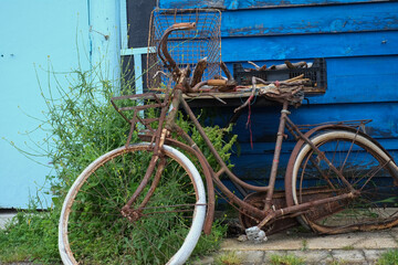 Vieux vélo rouillé contre cabane en bois bleue
