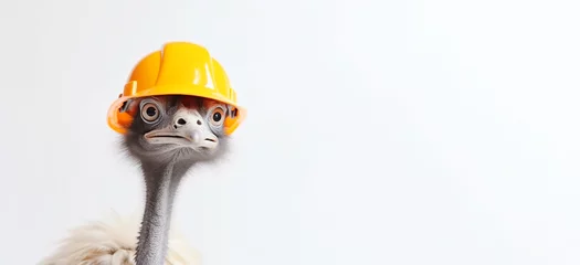 Keuken spatwand met foto Funny ostrich in a yellow helmet on a white background. Banner. Copy space. © Рика Тс