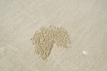Sand bubbler Radial pattern in the sand. Crab make Sand bubbler patterns in the sand.