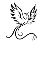 illustration of a bird