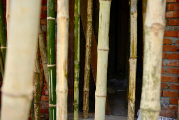 bamboo in the construction site