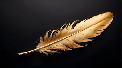 Golden Feather Floating in a Dark Background