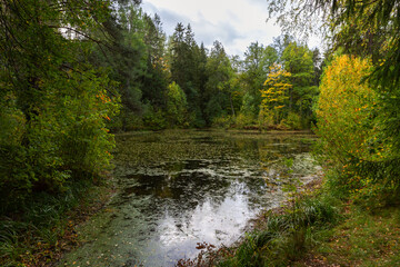 Fototapeta na wymiar Wild natural landscape, a lake in the autumn forest