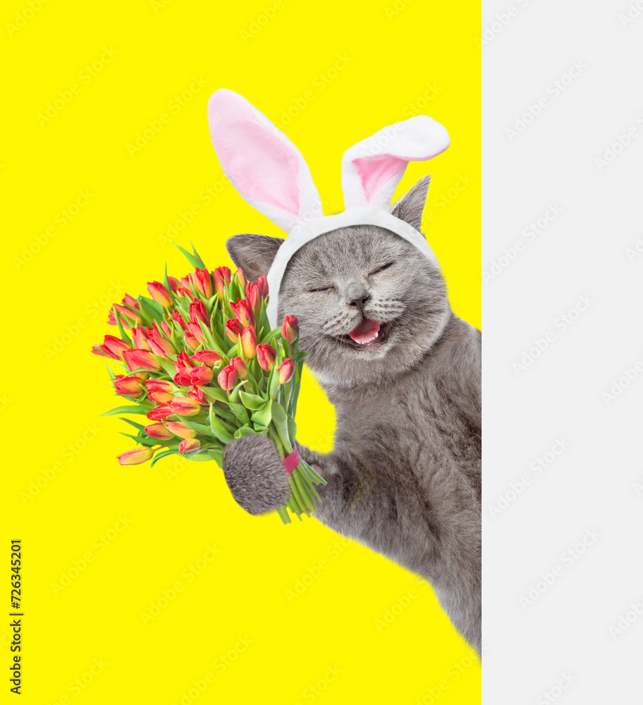 Poster happy kitten wearing easter rabbits ears holds holds bouquet of tulips and looks from behind empty w