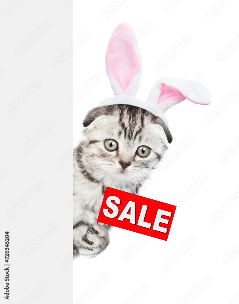 Poster tabby kitten wearing easter rabbits ears holds sales symbol behind empty white banner. isolated on w
