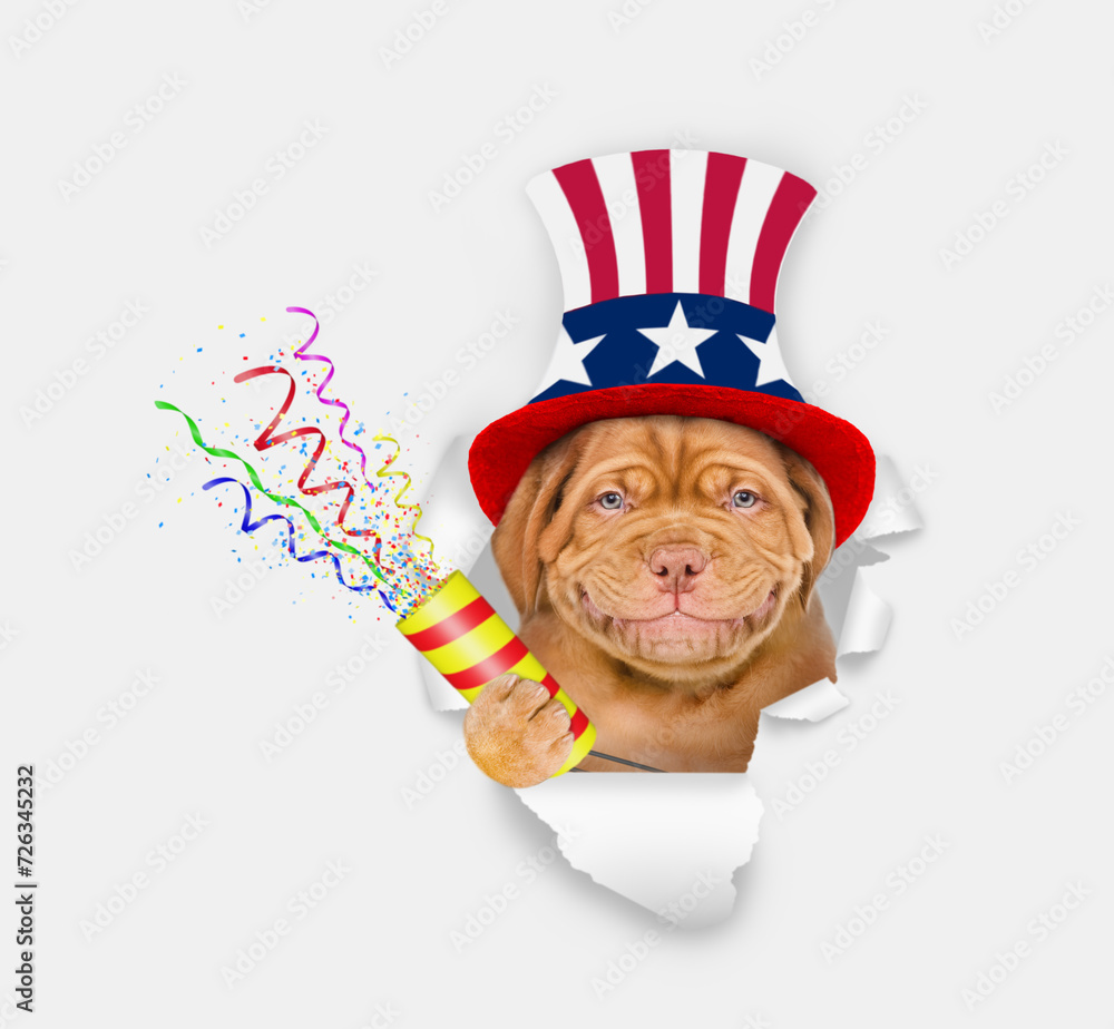 Poster happy mastiff puppy wearing like uncle sam explodes a firecracker through the hole in white paper
