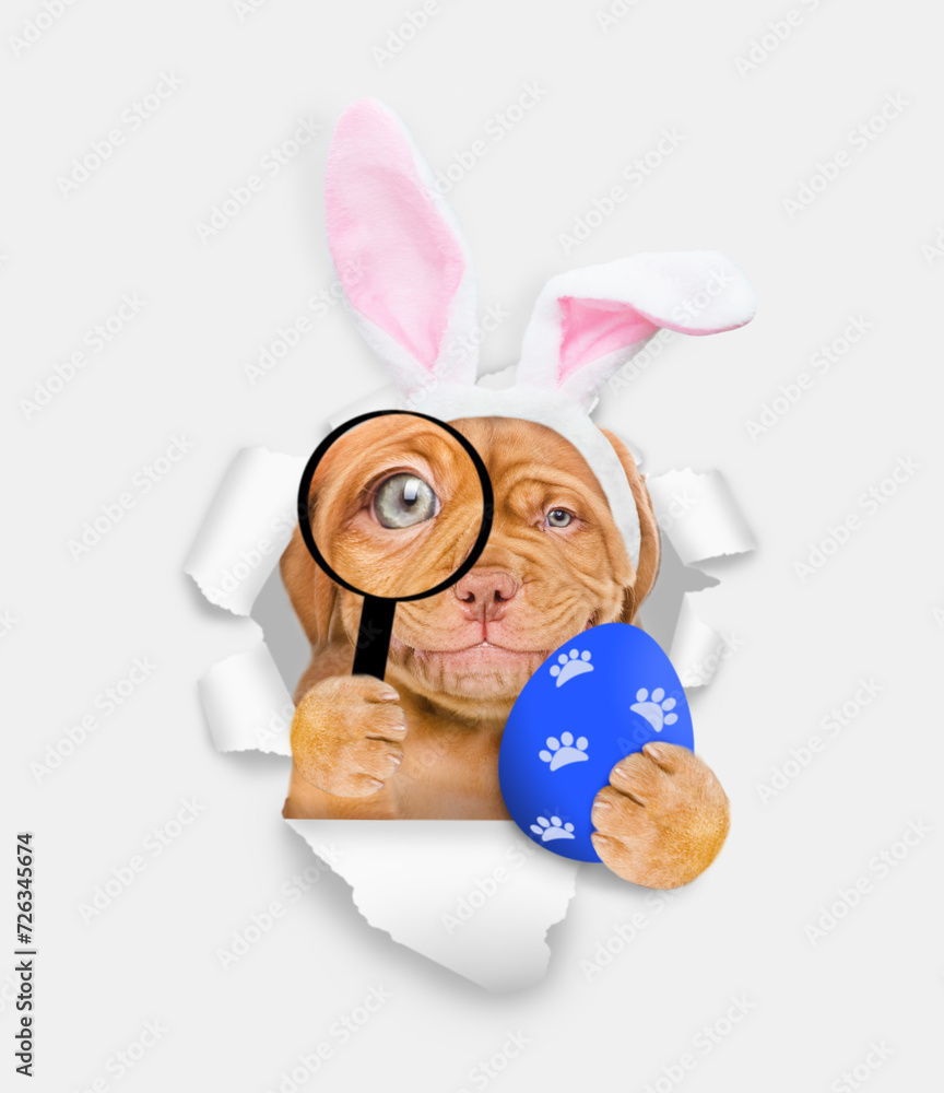 Poster smiling mastiff puppy wearing easter rabbits ears looks thru a magnifying lens looks through a hole 
