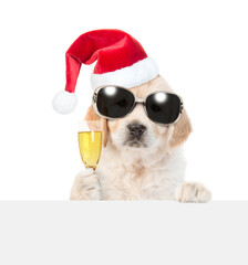 Cute Golden retriever puppy wearing sunglasses and santa hat looks above empty white banner and holds glass of champagne. isolated on white background.