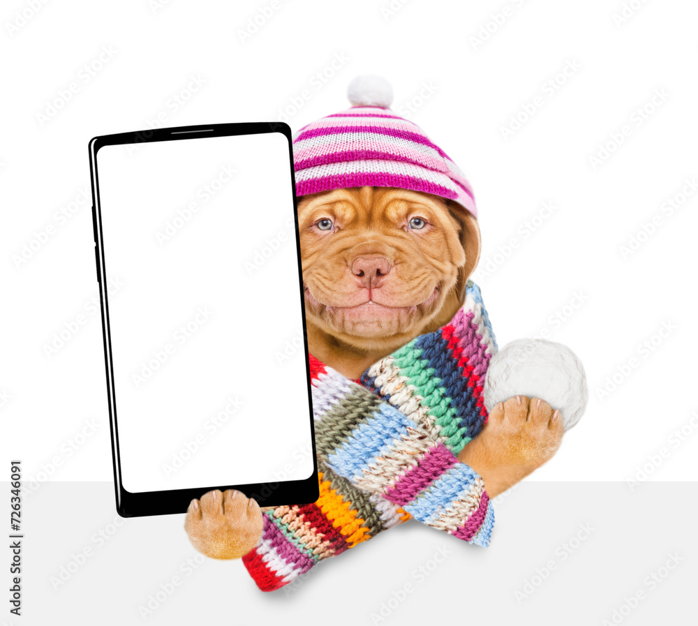 Aufkleber smiling puppy wearing a warm hat with pompon and knitted woolen scarf holds snowball and holds smart