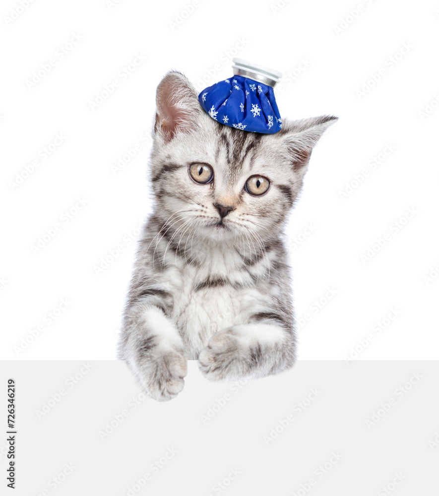 Poster sick kitten with ice bag or ice pack on his head looks above empty white banner. isolated on white b