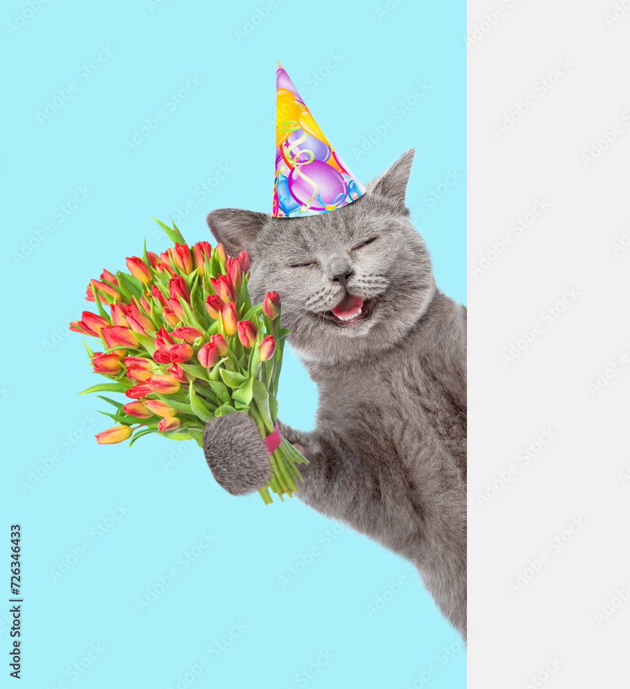 Aufkleber happy cat wearing party cap holds bouquet of tulips and looks from behind empty white banner. isolat