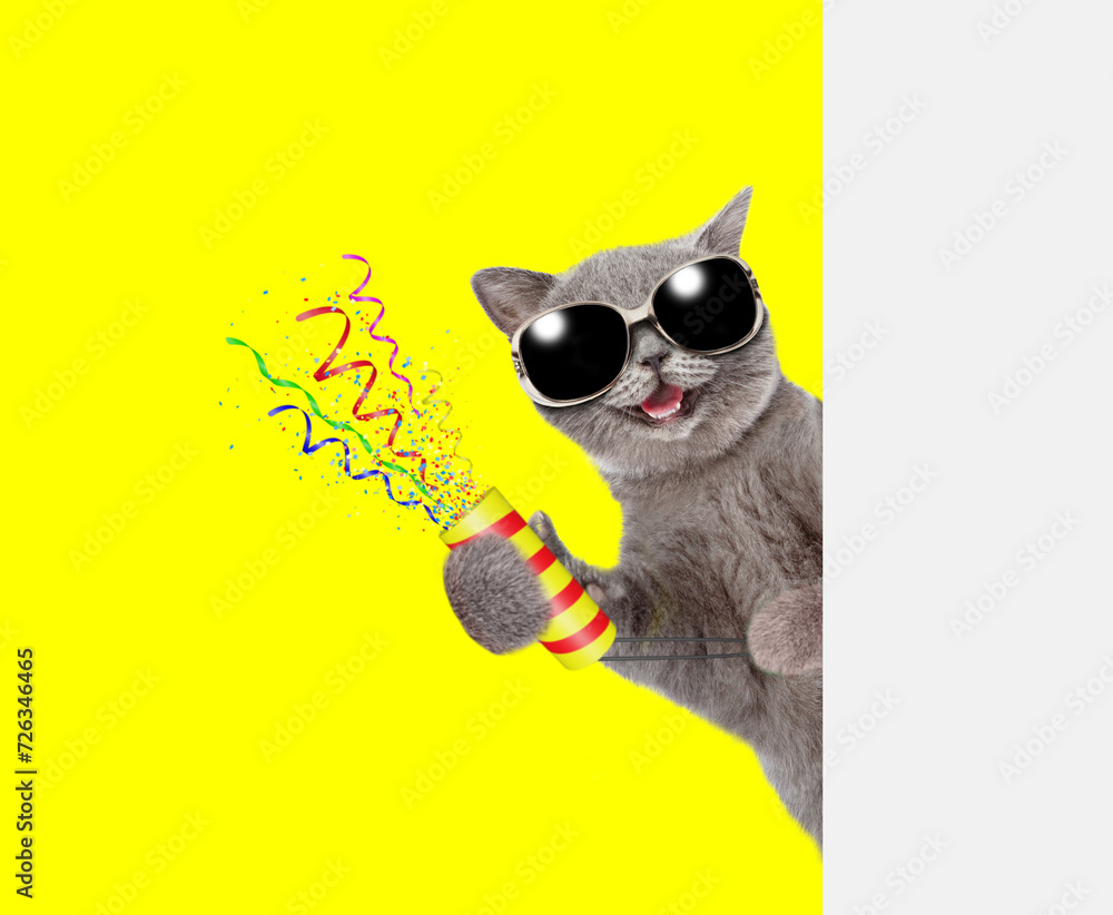 Poster Happy cat holds exploding firecracker and looks from behind empty white banner. Isolated on yellow background