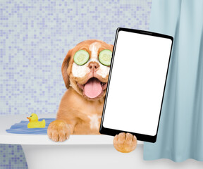 Happy Mastiff puppy with cream on it face, with pieces of cucumber on it eyes takes the bath, holds rubber duck and shows big smartphone with white blank screen in it paw