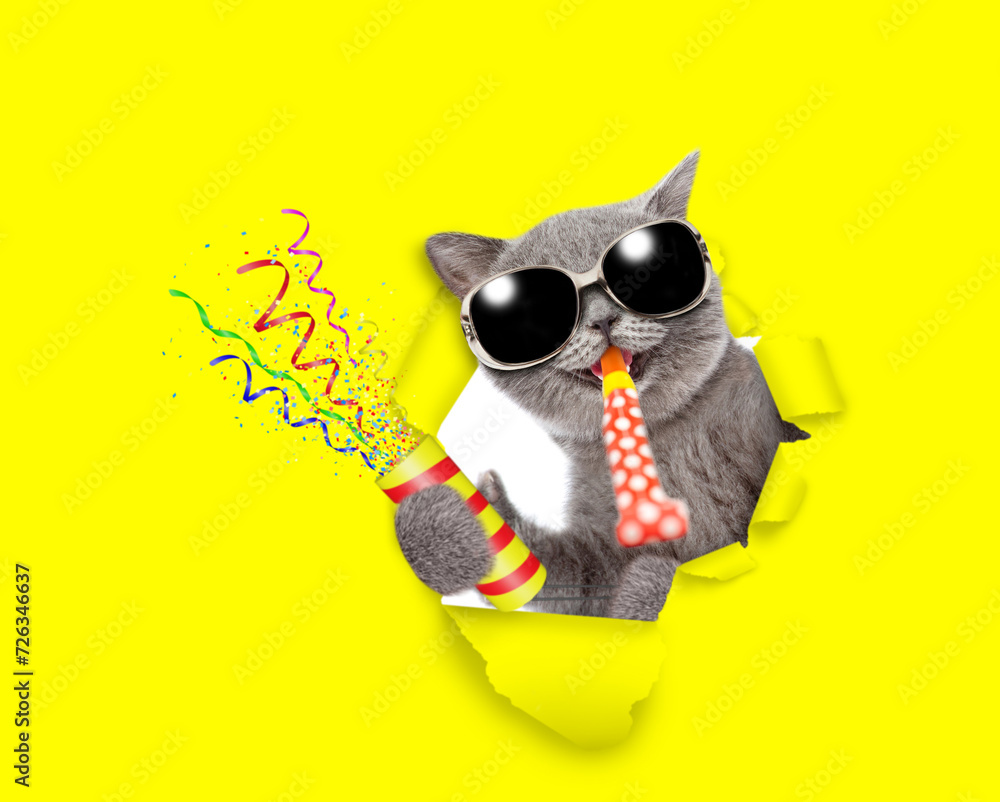 Poster happy cat wearing sunglasses looks through the hole in yellow paper, blows in party horn and holds e