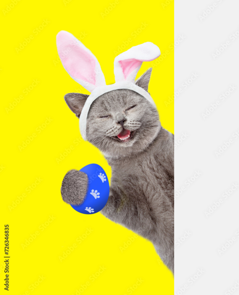 Poster happy kitten wearing easter rabbits ears holds colorful easter egg and looks from behind empty white
