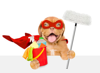 Happy Mastiff puppy wearing superhero costume holds the mop and bucket with washing fluids above...