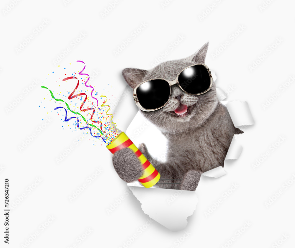 Aufkleber Happy cat wearing sunglasses and looks through the hole in white paper and holds exploding firecracker