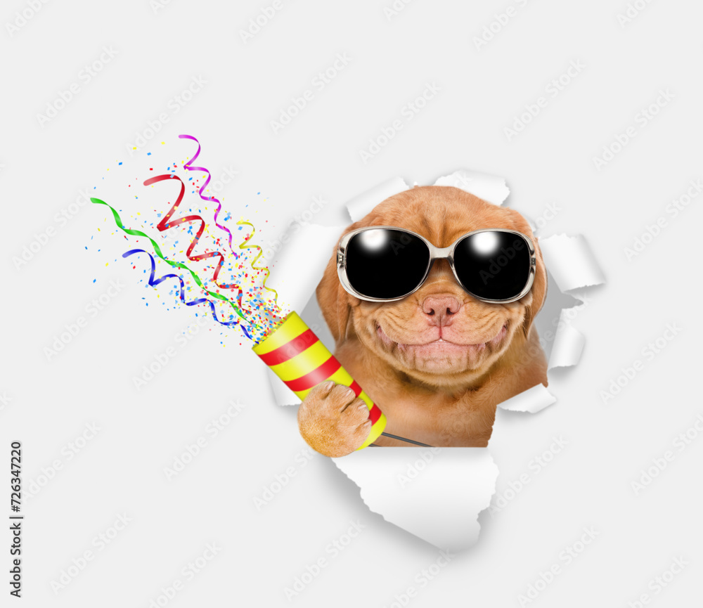 Aufkleber smiling mastiff puppy wearing sunglasses explodes a firecracker through the hole in white paper