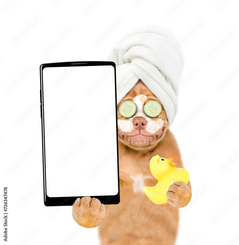 Aufkleber Mastiff puppy with towel on it head with pieces of cucumber on it eyes and with cream on it face holds  rubber duck and big smartphone with white blank screen in it paw. isolated on white background