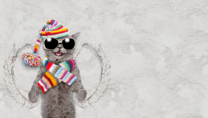 Happy cat wearing warm knitted hat with pompon and scarf making snow angel while lying on snow. Empty space for text