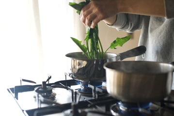 鍋でほうれん草を塩茹でするところ