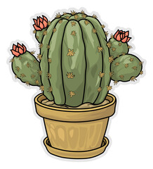 cartoon style cactus drawing without background