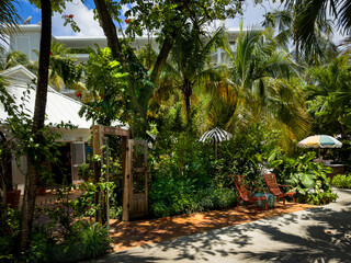 Grand Cayman, Cayman Islands, May 26th 2023, view of a footpath by Miss Piper’s restaurant going through a lush tropical vegetation - 726351600