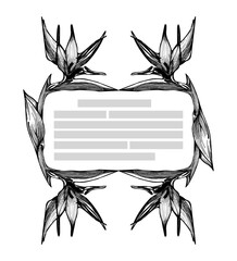 Floral Engraving Frame. Hand drawn Botanical vector illustration. Flower Strelitzia wreath Black and white with place for own text