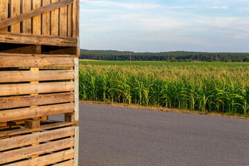 A large stack of wooden boxes for picking corn