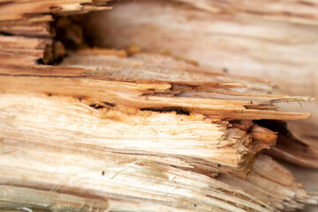 abstract shape split wood background