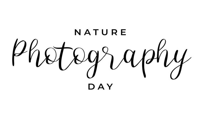 nature photography day animation. 4k animated greeting card. gift card. green screen and alpha channel.